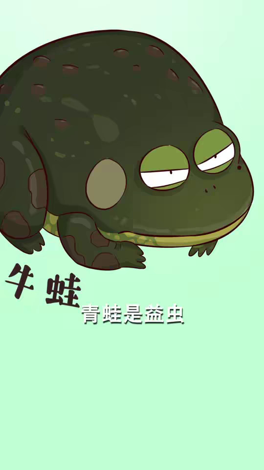 颜值有多重要？牛蛙有话想说