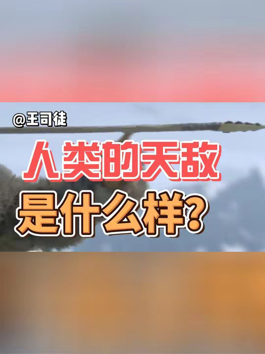 人类天敌是什么样？