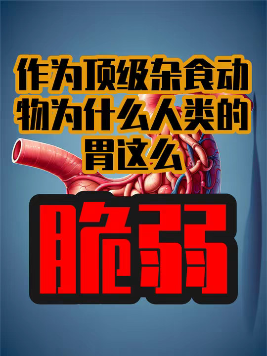 作为最顶级的杂食性动物，人类的胃为什么这么脆弱？