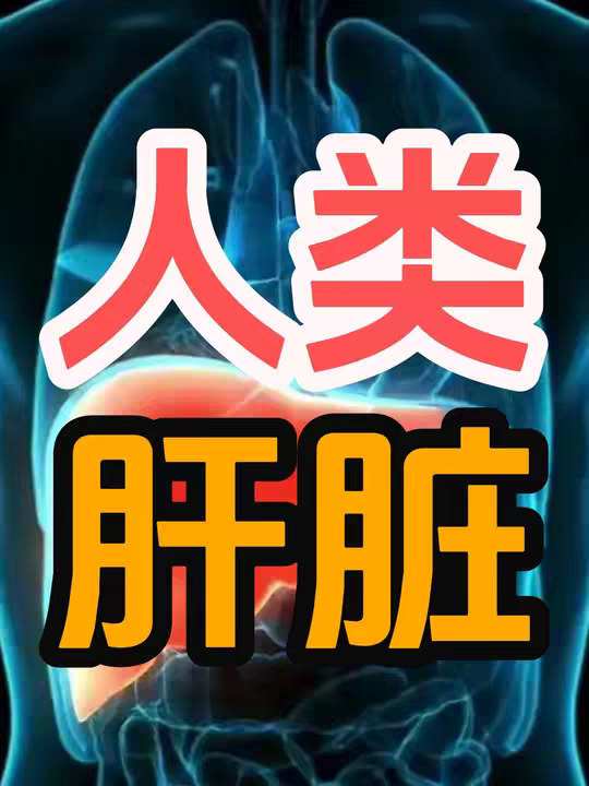 人类的肝脏被设计的有多强悍？