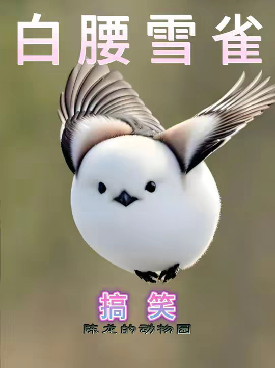 雪雀：你吃我一家，你给我等着，看我生更多，撑死你！
