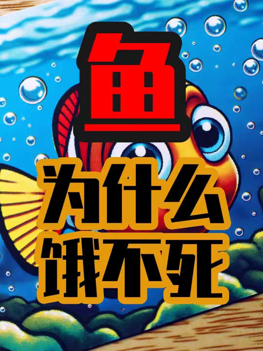 鱼为什么饿不死？