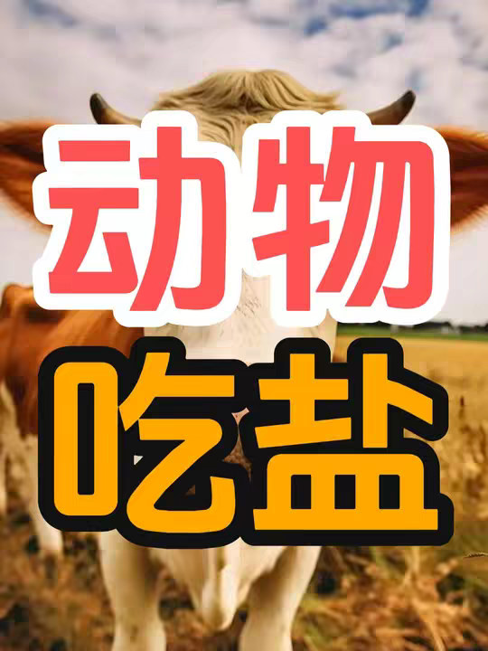 为什么人类需要不断吃盐，而动物们却不用？