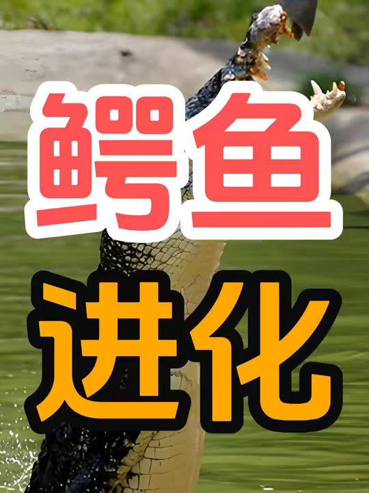 鳄鱼进化了2亿年，为什么几乎没有变化？