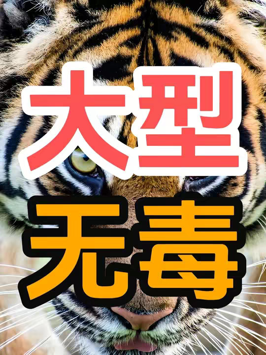 为什么大型食肉动物都是无毒的？