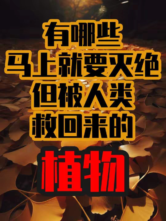 有哪些马上就要灭绝但硬是被人类救回来的植物？