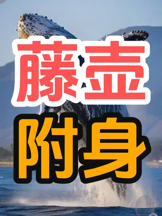 为什么鲸鱼身上都是藤壶，而大白鲨身上却干干净净？