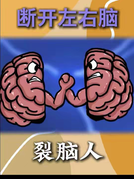 把连接左右脑的神经纤维断开，会发生什么？