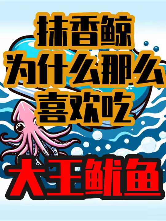 为什么抹香鲸那么爱吃大王鱿鱼？