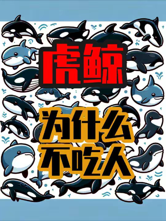 虎鲸为什么不吃人？