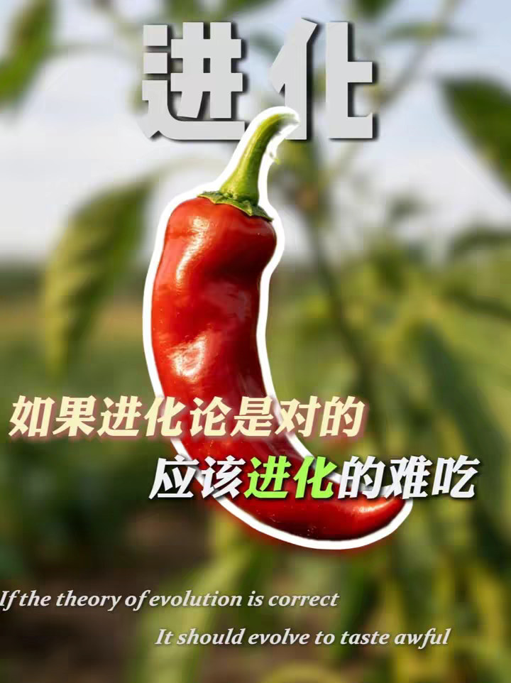 植物为什么不进化的难吃