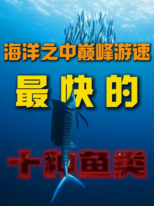 游速最快的十种鱼，你有没有钓到过？