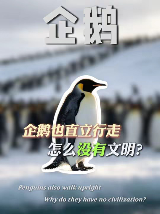 解放双手是文明的起点，企鹅也直立行走，他们为什么没发展出文明