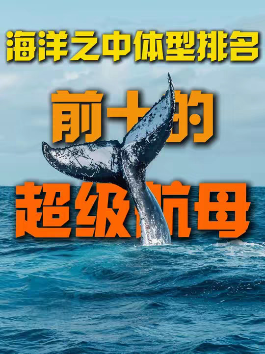 海洋之中体型排名前十的生物，绝对超乎你的想象！