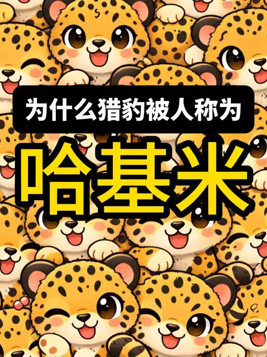 为什么凶猛的猫科里，只有猎豹被称为野生哈基米