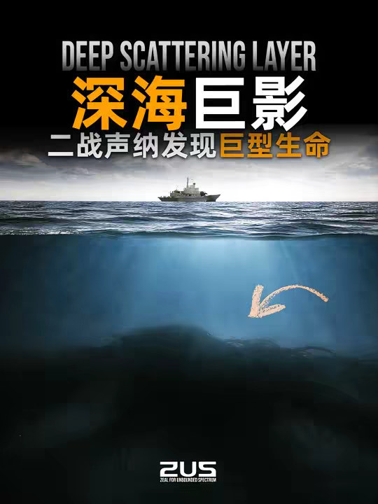 二战声纳竟发现深海巨型生命？ 二战时期，声纳在深海中发现异常回波。 它看起来像一个巨型物体，甚至覆盖整片海底，并且每天都在移动。 这不是潜艇，也不是海底结构。 它究竟是什么？