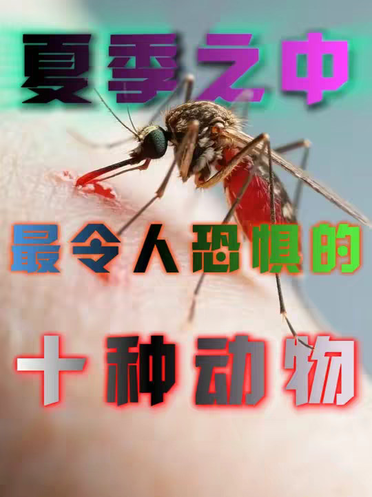 这些动物可以说是整个夏季的活爹，没一个能惹得起的！