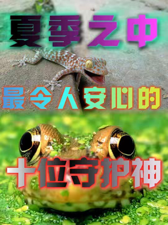 夏季蚊虫很头疼？没事的，我们有守护神！