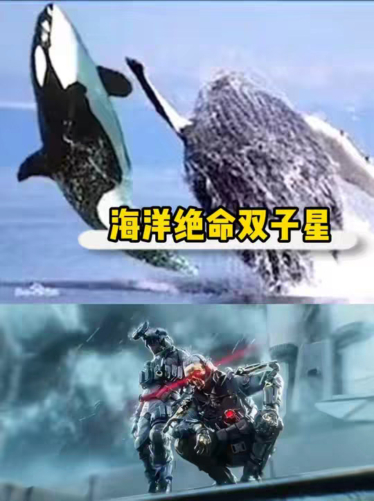 老板你点的魔王护到了