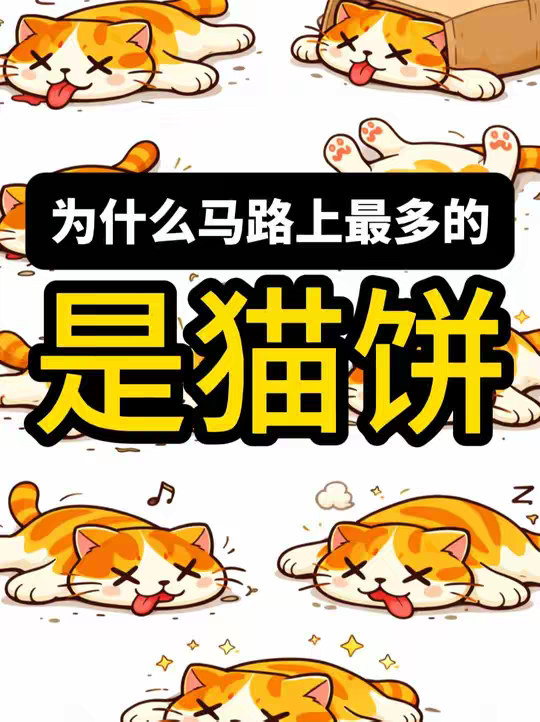 为什么马路上的猫饼比狗饼更多
