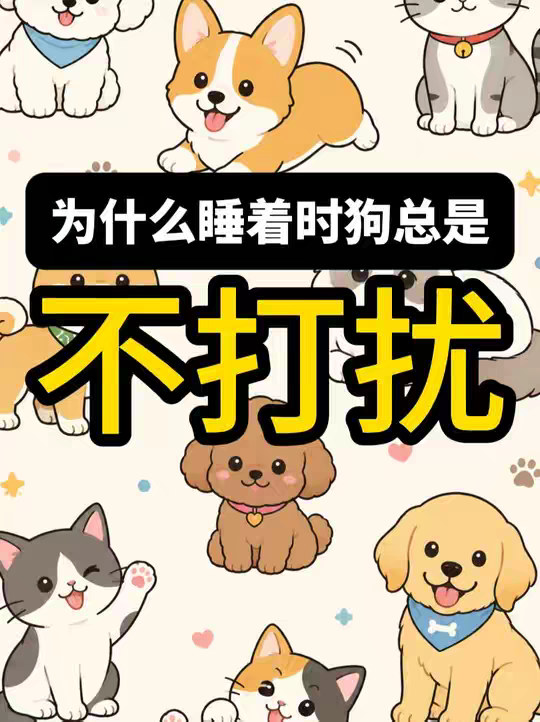 为什么狗不会打扰你睡觉