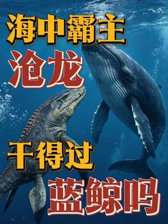 一对一沧龙打得赢蓝鲸吗？