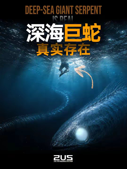 体长40m，超过蓝鲸！传说中的深海巨蛇，竟证实真实存在？ 在古老海图上，它被画成盘踞北海的巨蛇；在航海日志里，它曾从军舰旁掠过；在风暴过后，它又以腐烂巨尸的形式被冲上海岸。 几百年来，人类一直相信，海洋深处可能藏着某种蛇形巨兽。 但如果传说并非完全虚构呢？ 从真实存在的海蛇，到被称为“龙宫使者”的巨型皇带鱼，再到体长可达40米、甚至比蓝鲸更长的巨型管水母，现代生物学正在把古老海怪传说一层层拆开。 这支影片将追踪蛇形海怪的历史目击、神秘尸骸、科学误认与真实生物原型，揭开“深海巨蛇”背后最接近真相的答案。