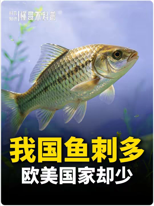 为啥我国淡水鱼刺多，而欧美国家的却几乎没有？