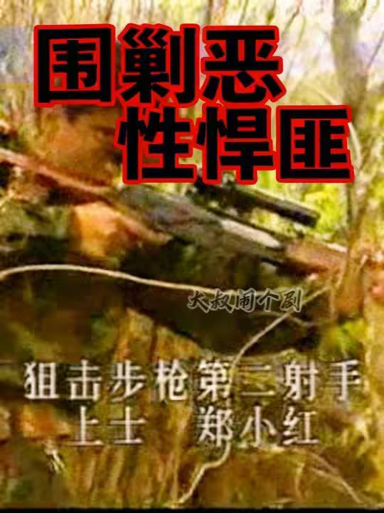 海南武警总队围剿恶性悍匪刘进荣纪实
