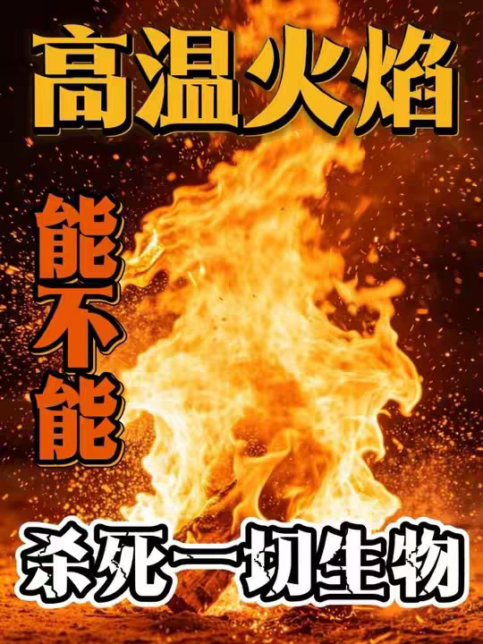 高温火焰，是所有碳基生物的噩梦！