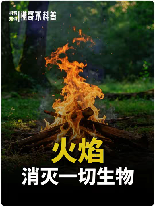 高温火焰能不能杀死一切生物？