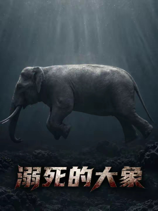 我是头大象，却溺死在了海洋馆里！