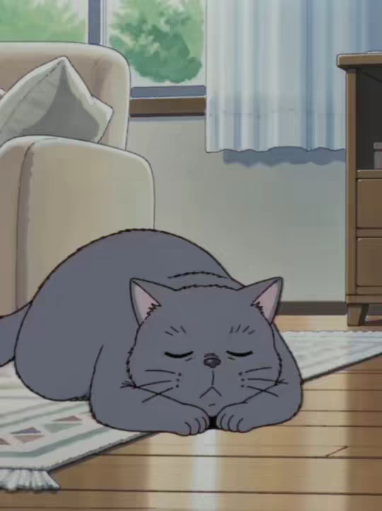 猫咪被抱着的时候，他在想什么？你家猫咪喜欢被你抱着吗？