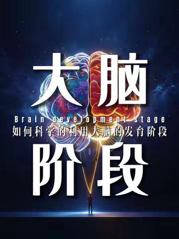 如何顺应大脑拉高人生上限？5个『大脑发育』的阶段！
