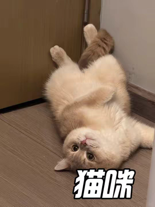给他一个开电磁炉的机会，他能把你家给炸的稀碎