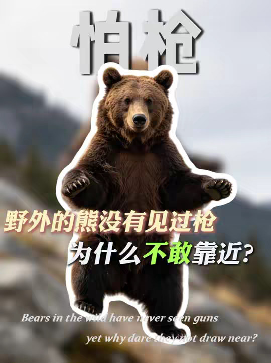 野外的熊从来没见过枪，为什么看到人拿着枪就不敢接近了？