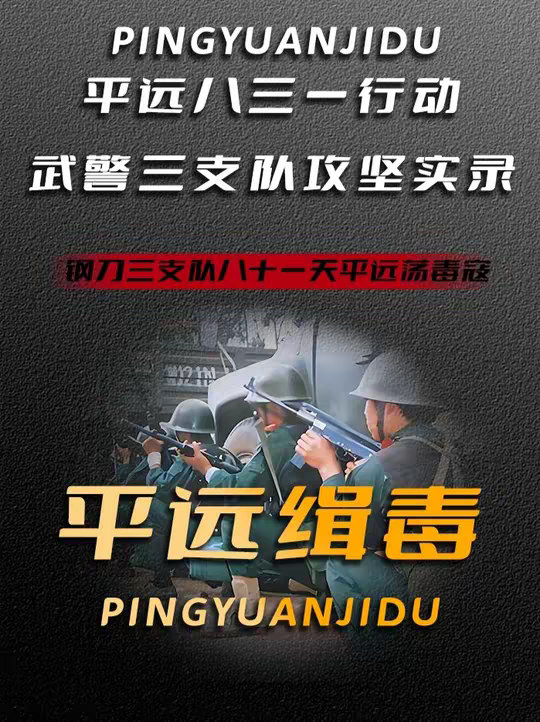 平远毒巢盘踞边境，钢刀支队千里驰援，八十一天肃清顽凶