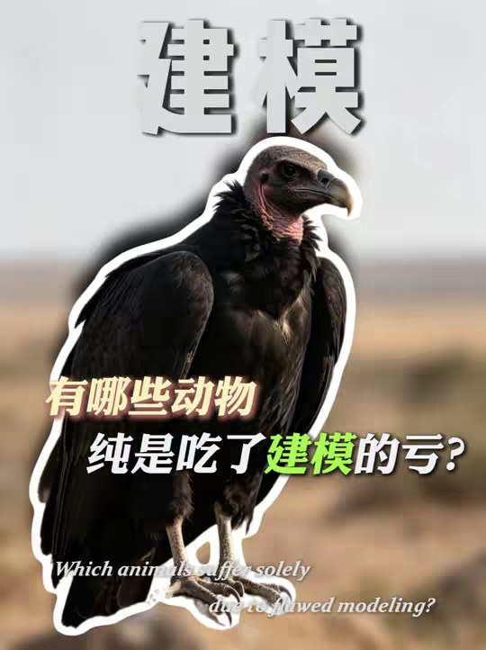 为什么说有些动物纯是吃了建模的亏？
