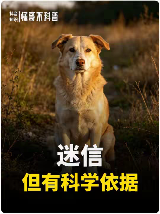 有哪些听起来迷信其实有科学依据的说法？